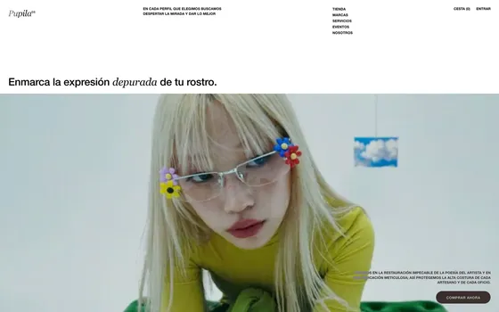 Web Pupila — Ópticas y gafas de autor