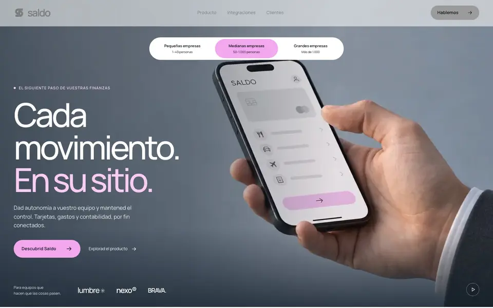 Diseño de Saldo