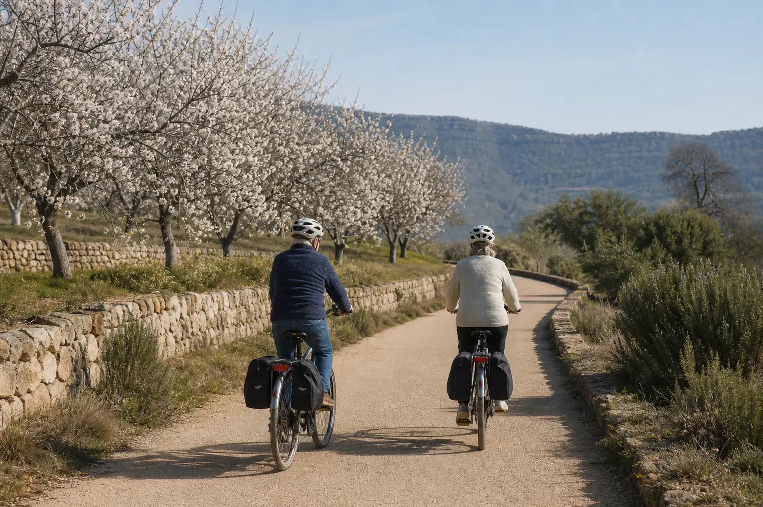 Paseo entre almendros