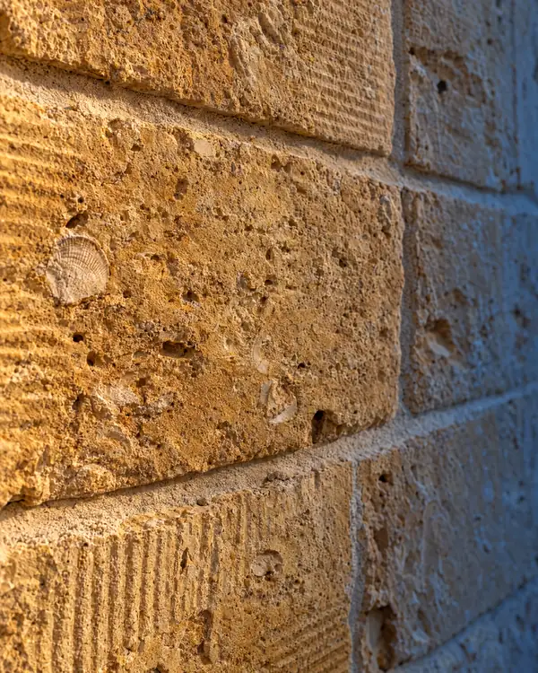 Muro de bloques de marès dorado con marcas de sierra y conchas fósiles